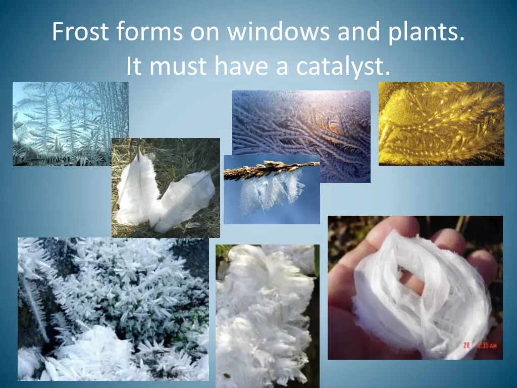 frost forms on windows and plants it must have
