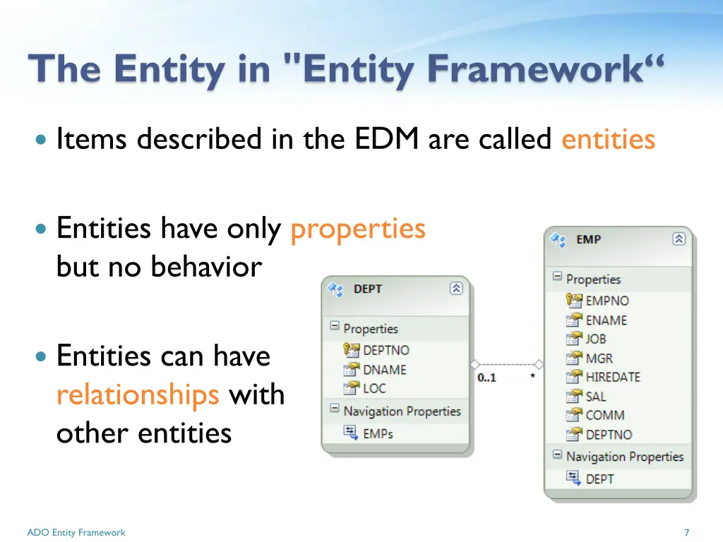 the entity in entity framework