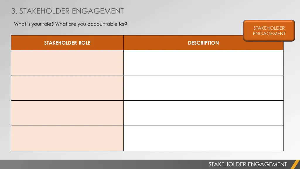 3 stakeholder engagement
