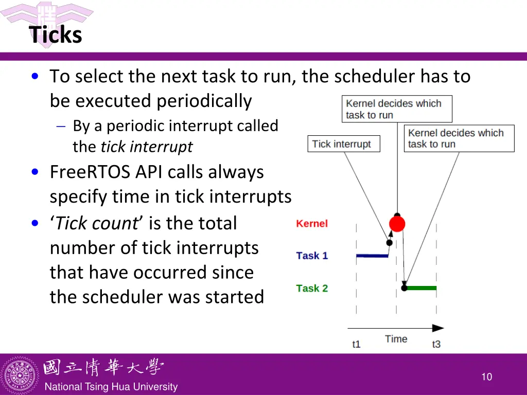 ticks