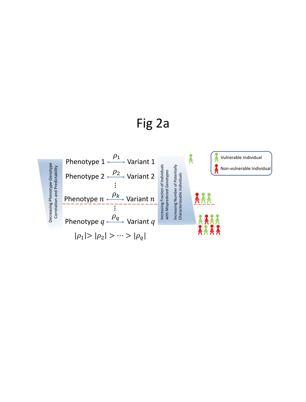fig 2a 1