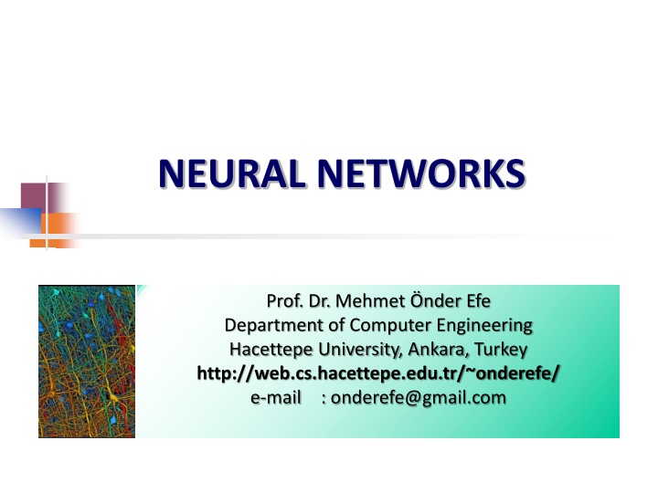 neural networks