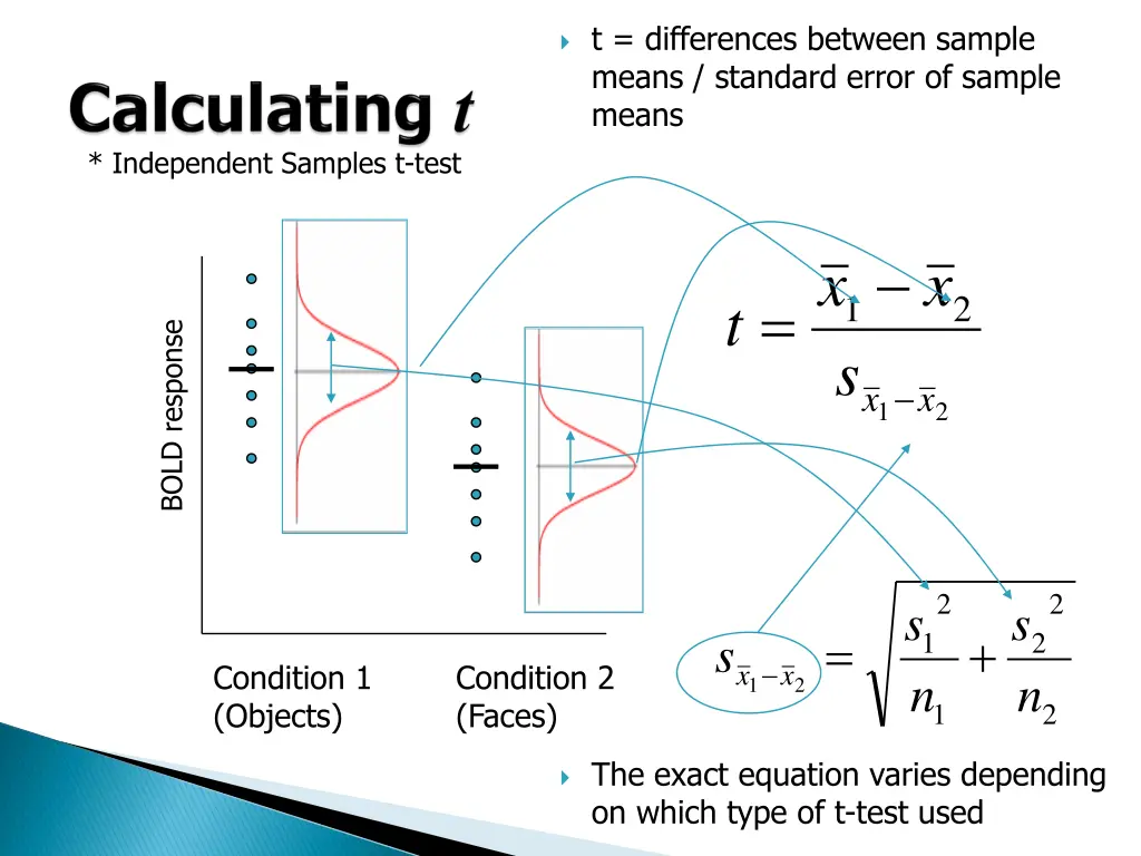 t differences between sample means standard error