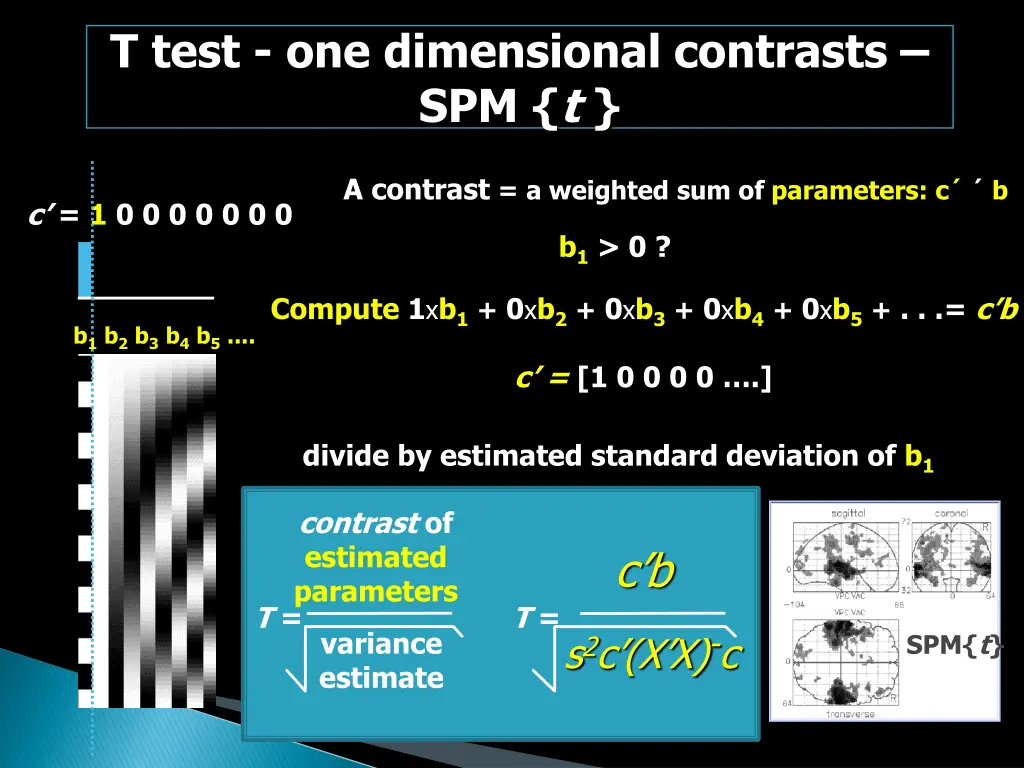 t test one dimensional contrasts spm t