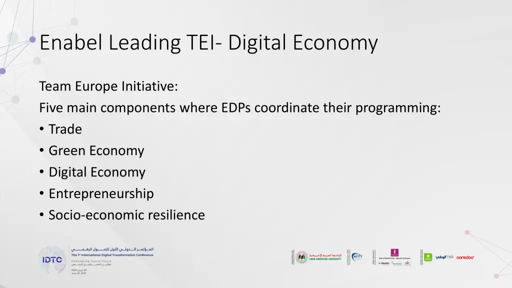 enabel leading tei digital economy