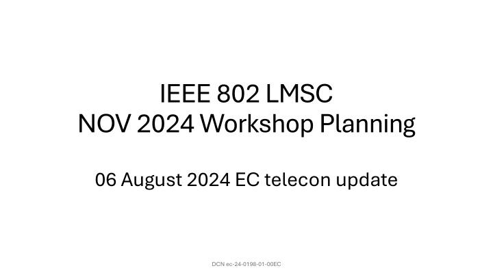 ieee 802 lmsc nov 2024 workshop planning