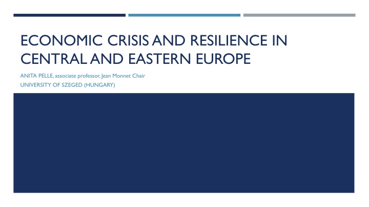 economic crisis and resilience in central