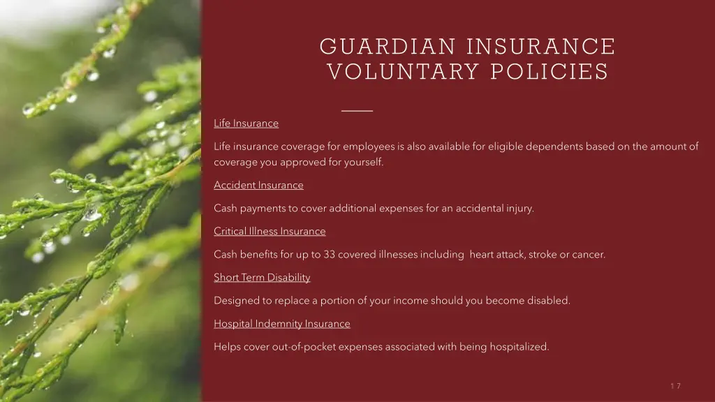 guardian insurance voluntary policies 1