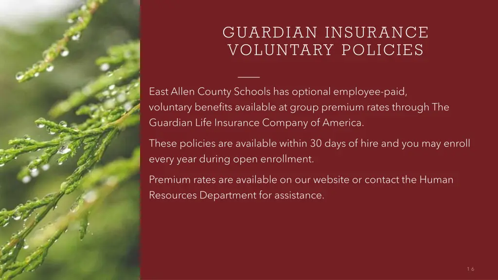 guardian insurance voluntary policies