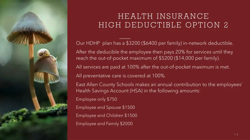 health insurance high deductible option 2