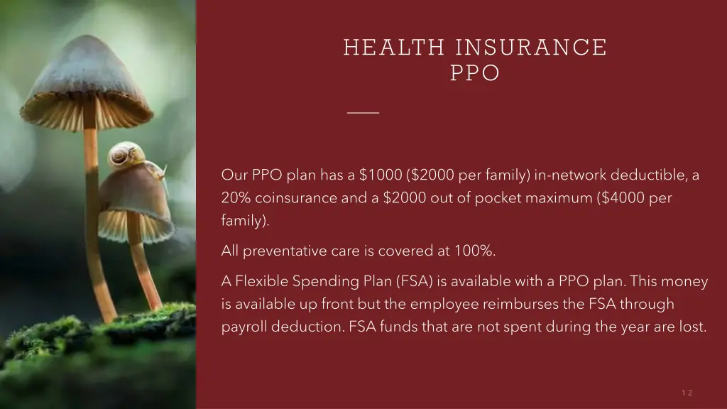 health insurance ppo
