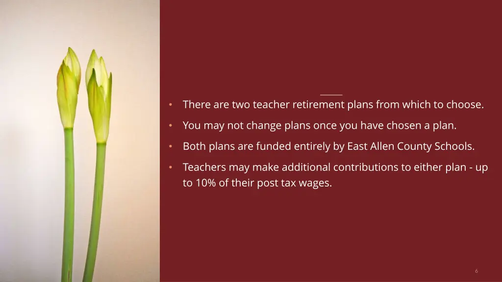there are two teacher retirement plans from which