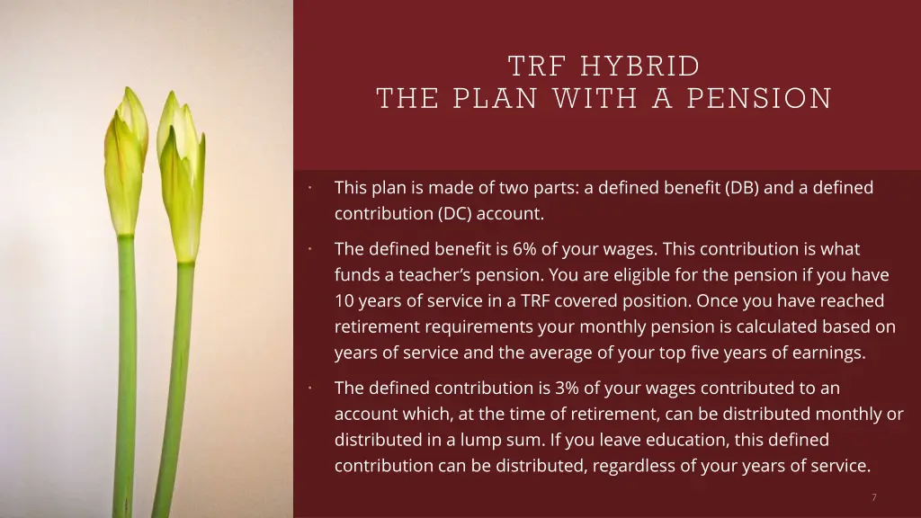 trf hybrid