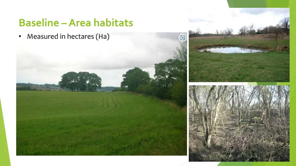 baseline area habitats measured in hectares ha