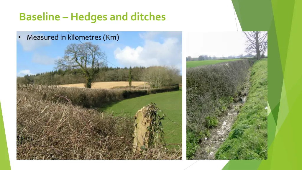 baseline hedges and ditches