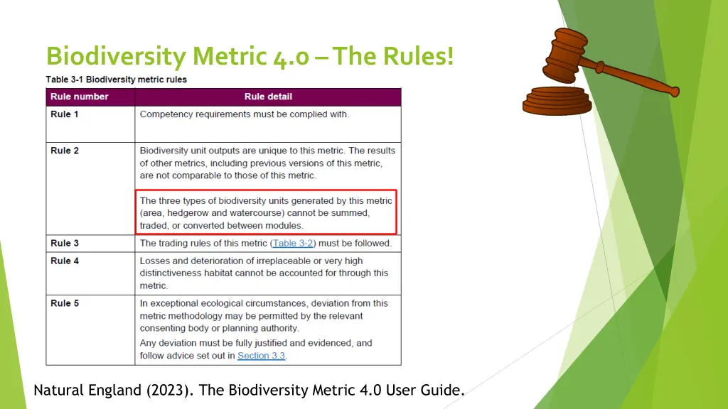 biodiversity metric 4 0 the rules