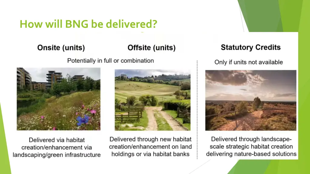 how will bng be delivered