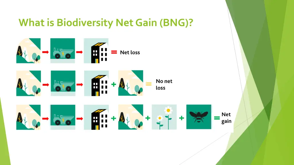 what is biodiversity net gain bng