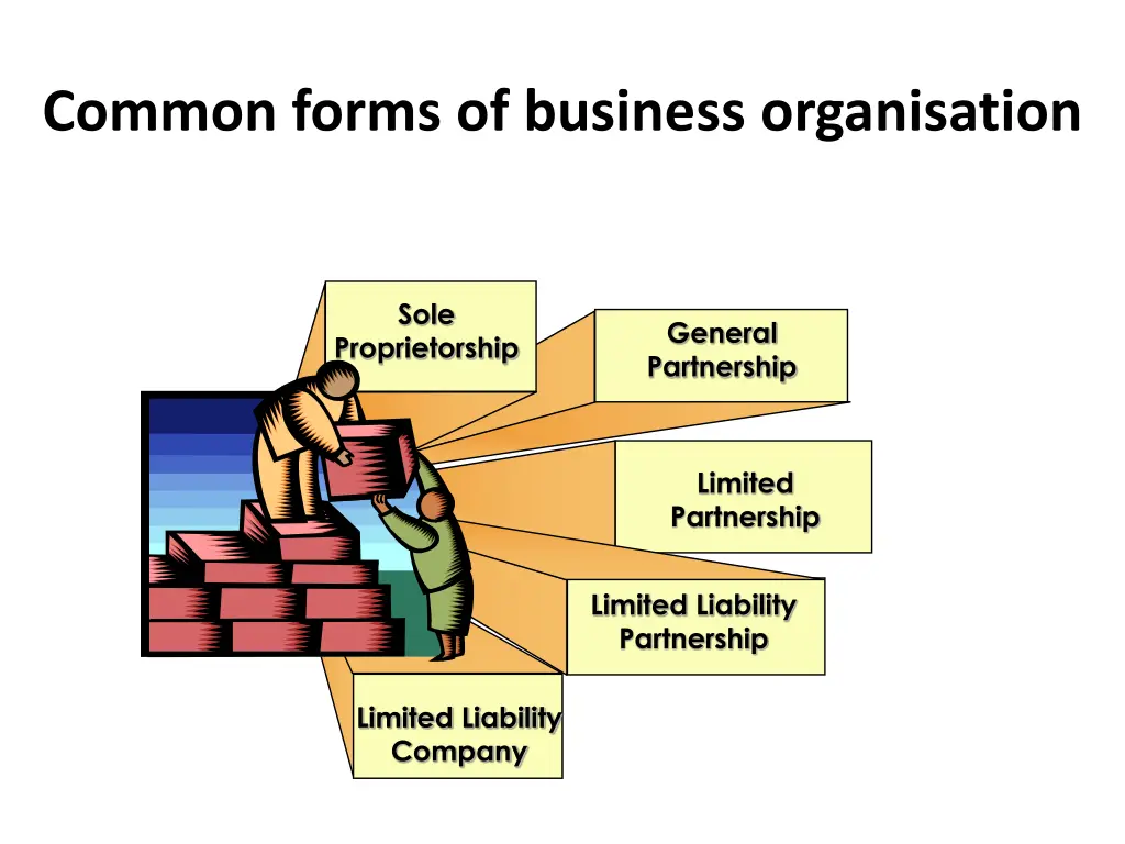 common forms of business organisation