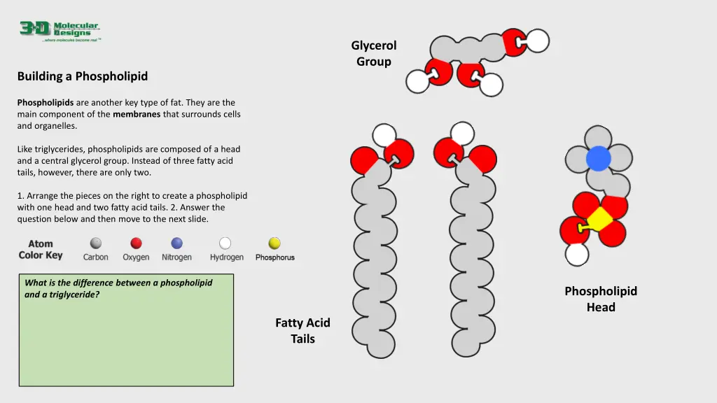 glycerol group 2