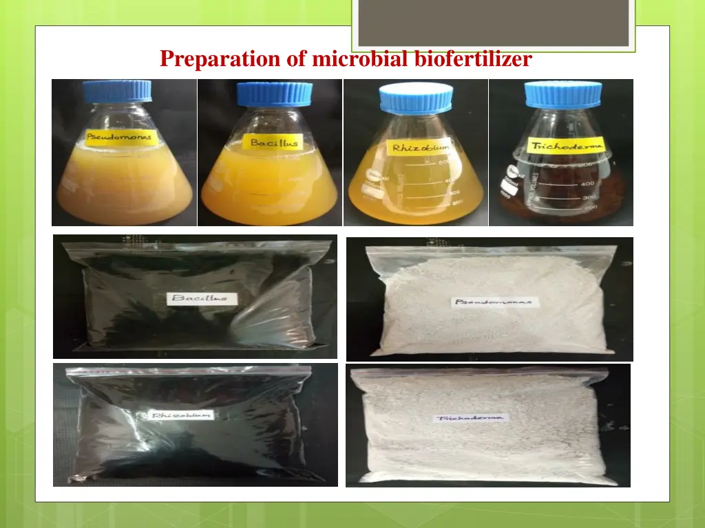 preparation of microbial biofertilizer