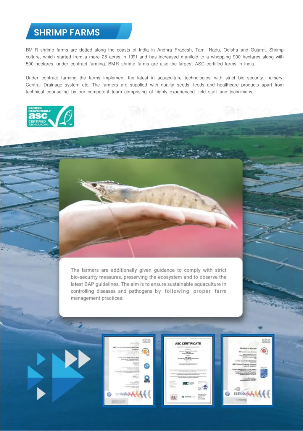 bm r shrimp farms are dotted along the coasts