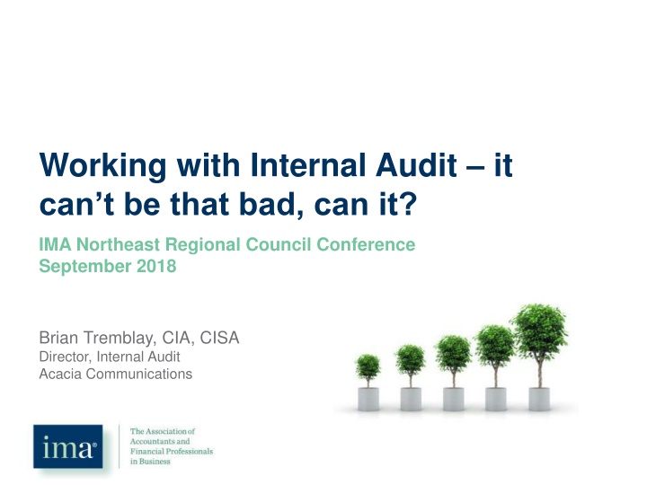 working with internal audit it can t be that