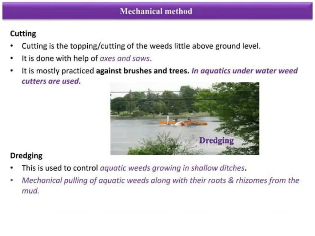 slide11