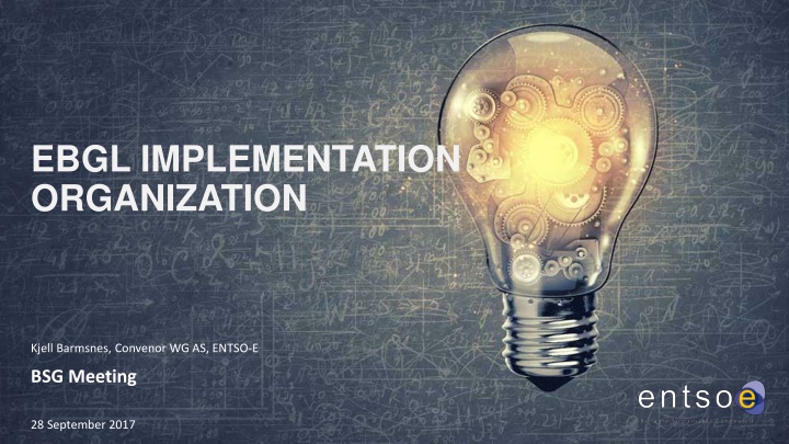 ebgl implementation organization