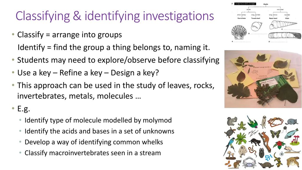 classifying identifying investigations