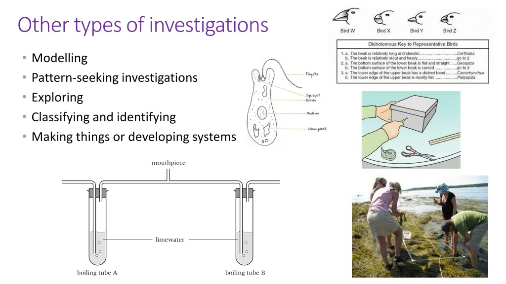 other types of investigations