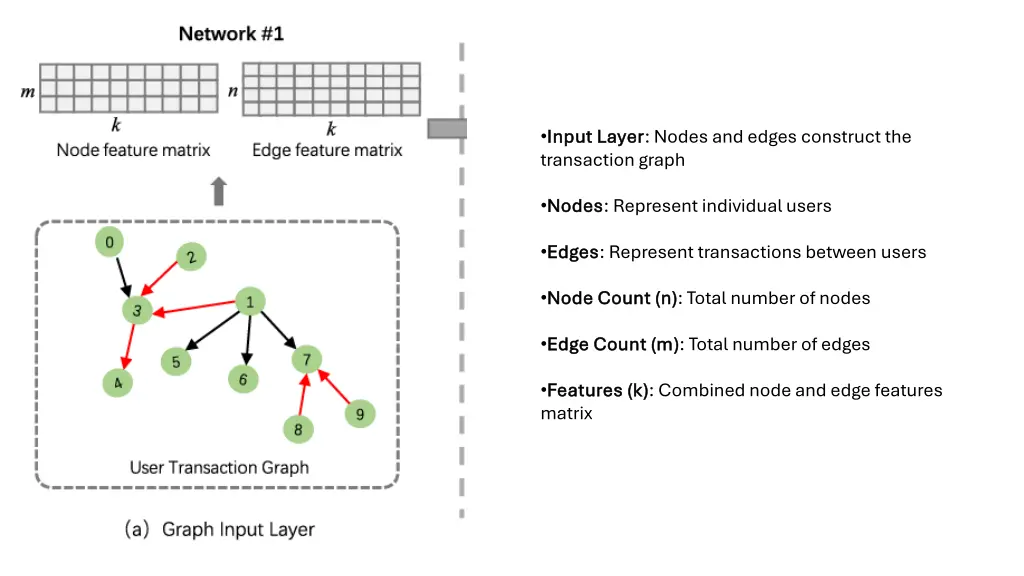 input layer input layer nodes and edges construct