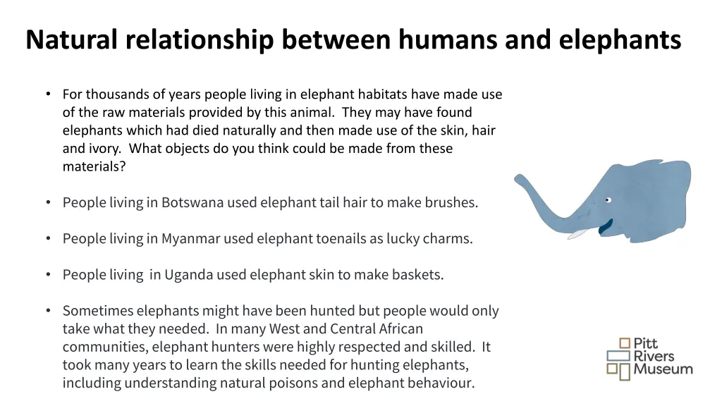 natural relationship between humans and elephants