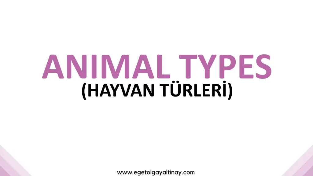 animal types hayvan t rler