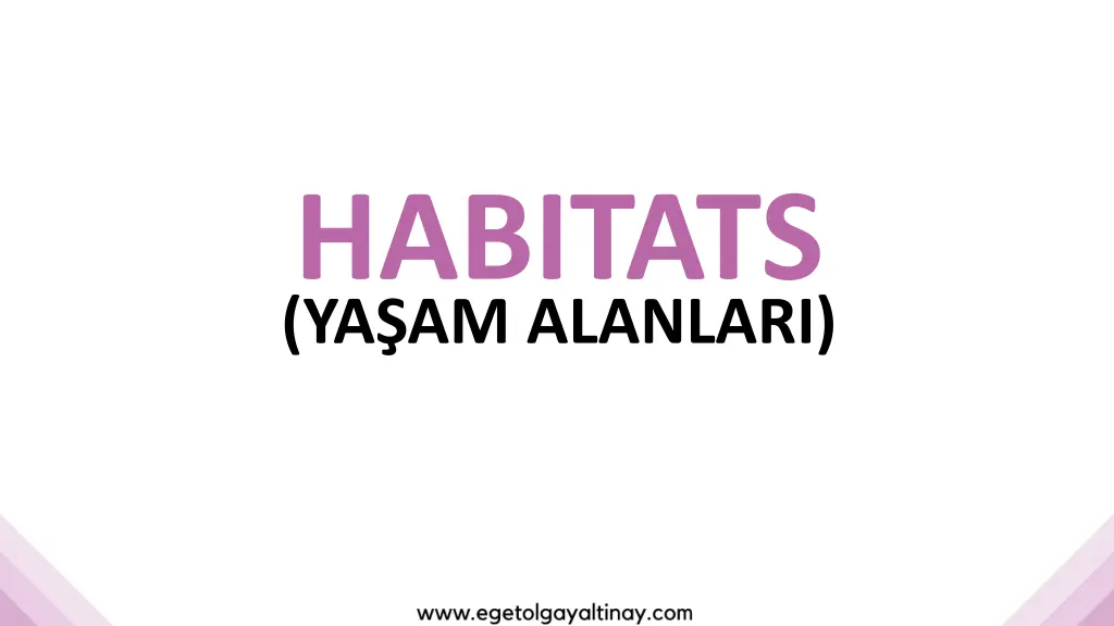 habitats ya am alanlari