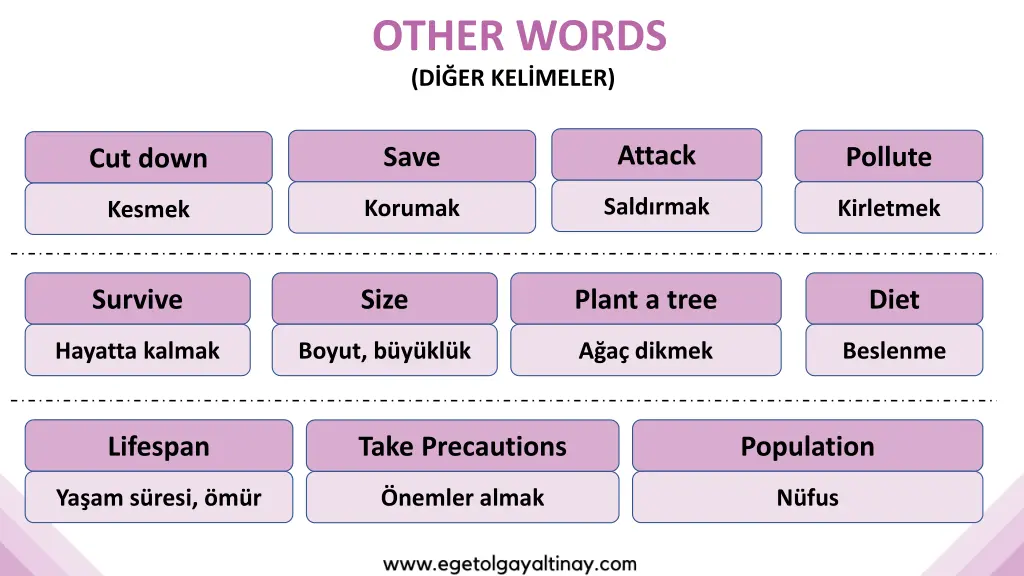 other words d er kel meler 2