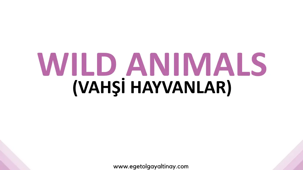 wild animals vah hayvanlar