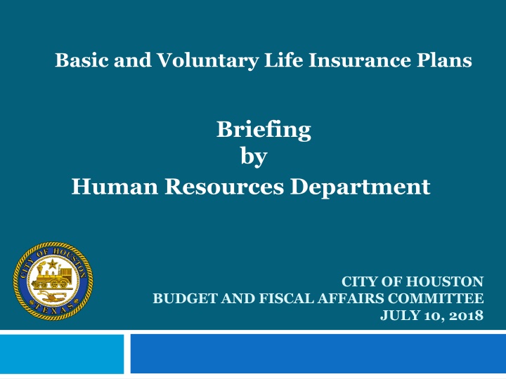 basic and voluntary life insurance plans