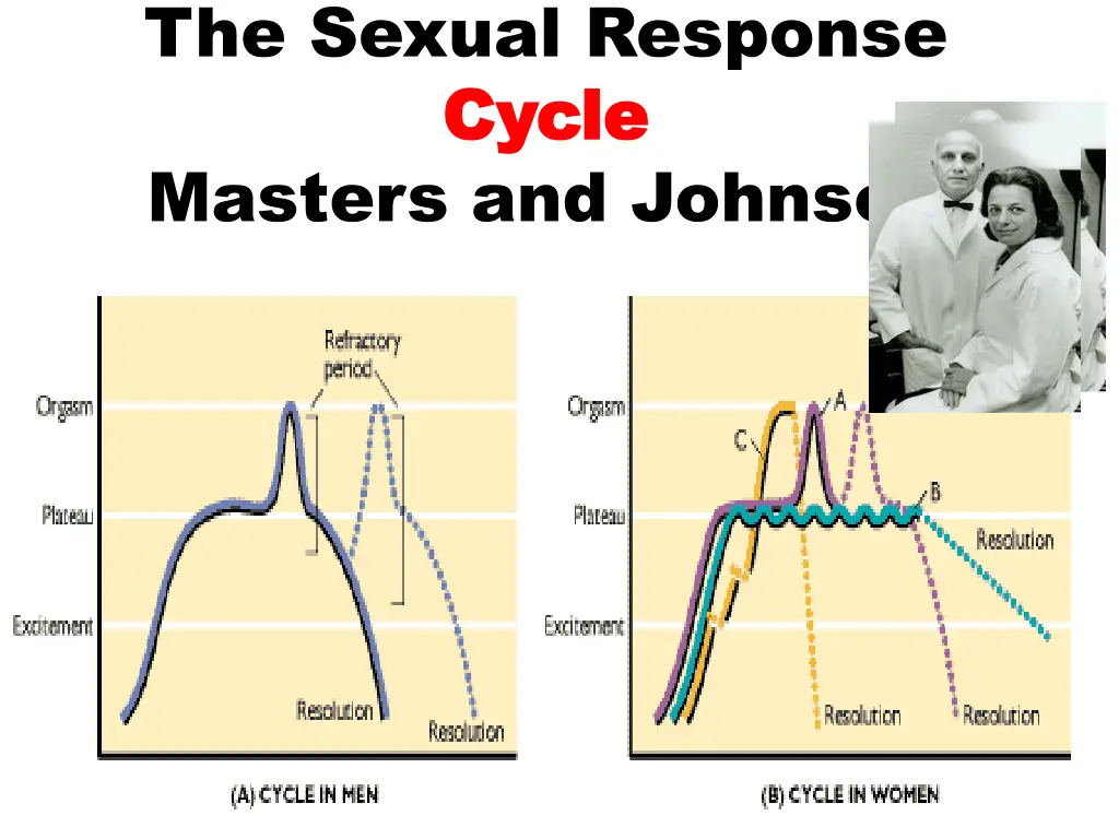 the sexual response cycle cycle masters