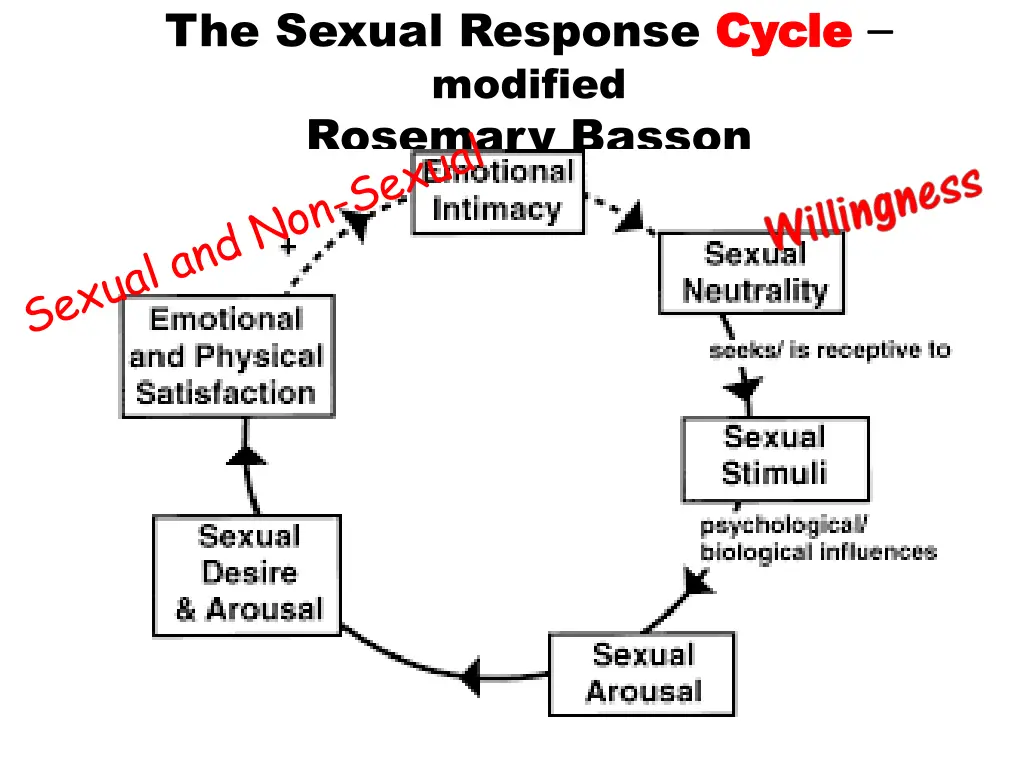 the sexual response cycle modified rosemary basson