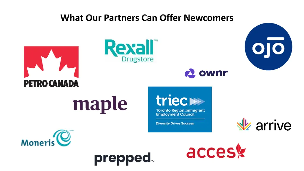 what our partners can offer newcomers