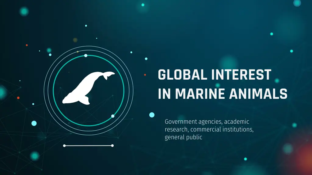 global interest in marine animals