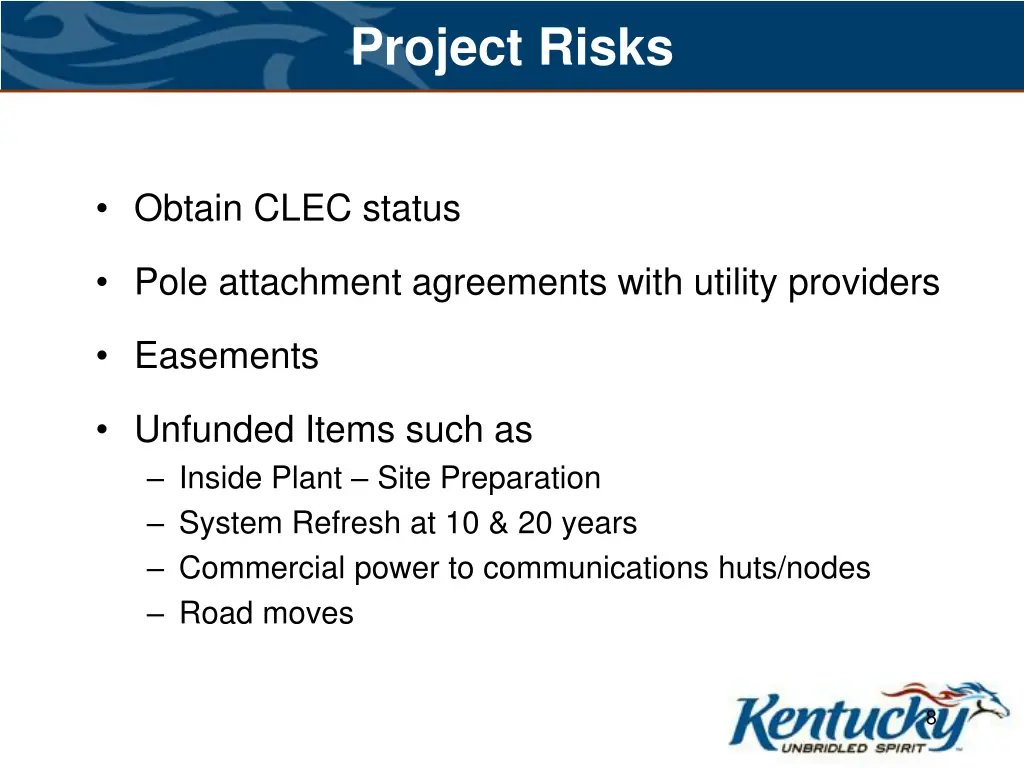 project risks