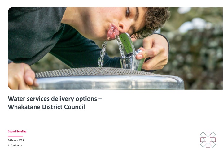 water services delivery options whakat