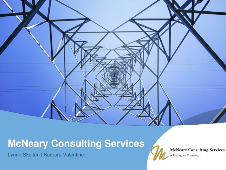 mcneary consulting services