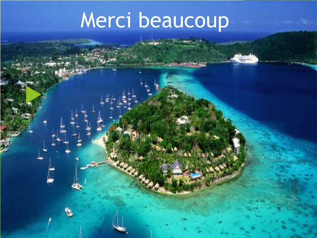 merci beaucoup