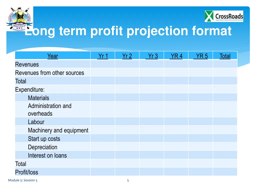 long term profit projection format