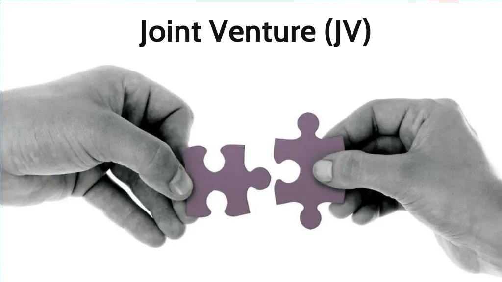 joint venture jv