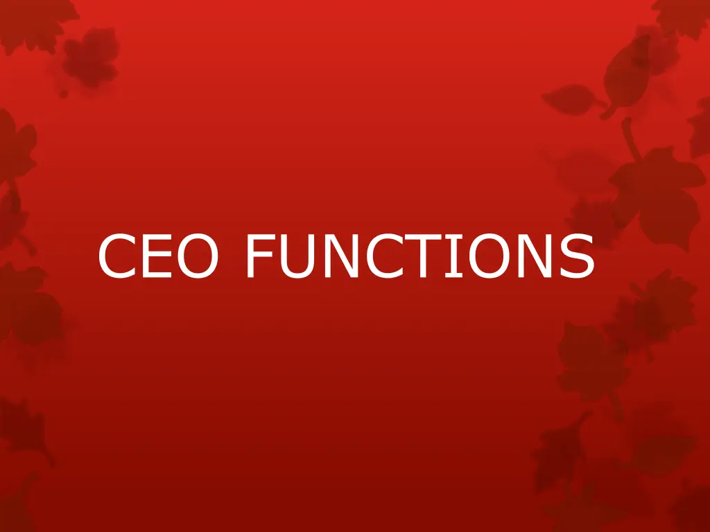 ceo functions