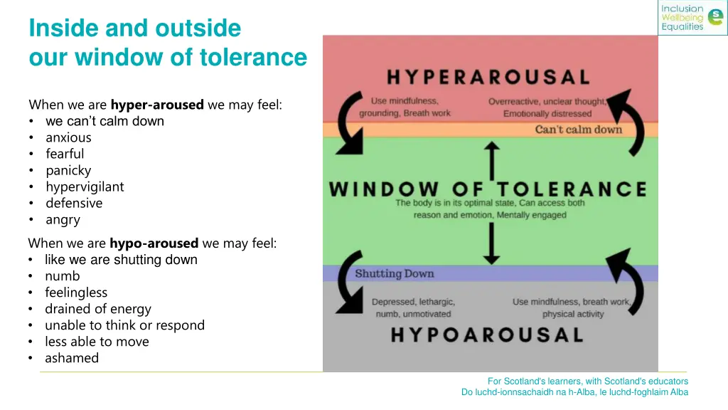 inside and outside our window of tolerance